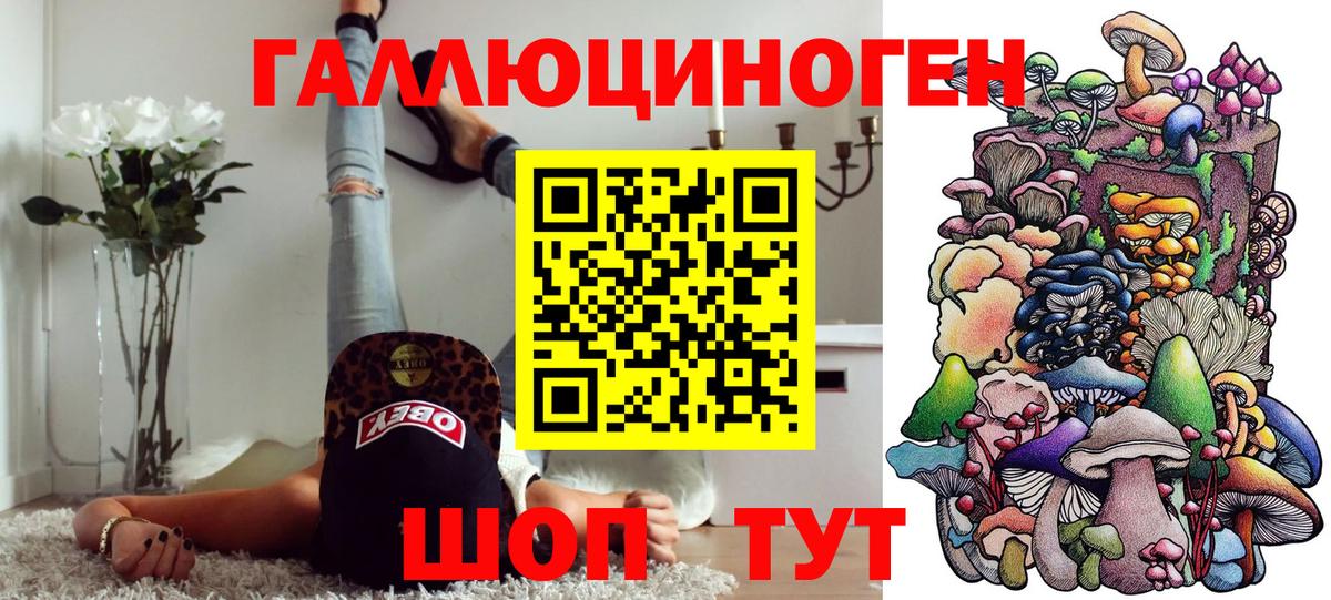 Псилоцибиновые грибы Psilocybine cubensis Волжский