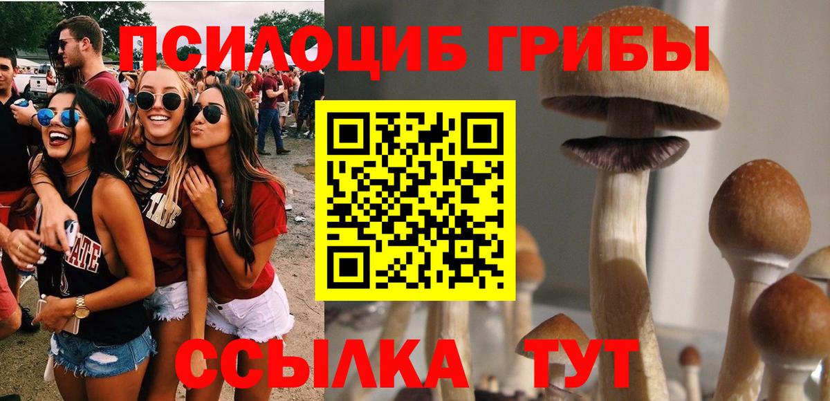 Галлюциногенные грибы мицелий  как найти закладки  Псилоцибиновые грибы Magic Shrooms  Волжский  Вход с VPN 